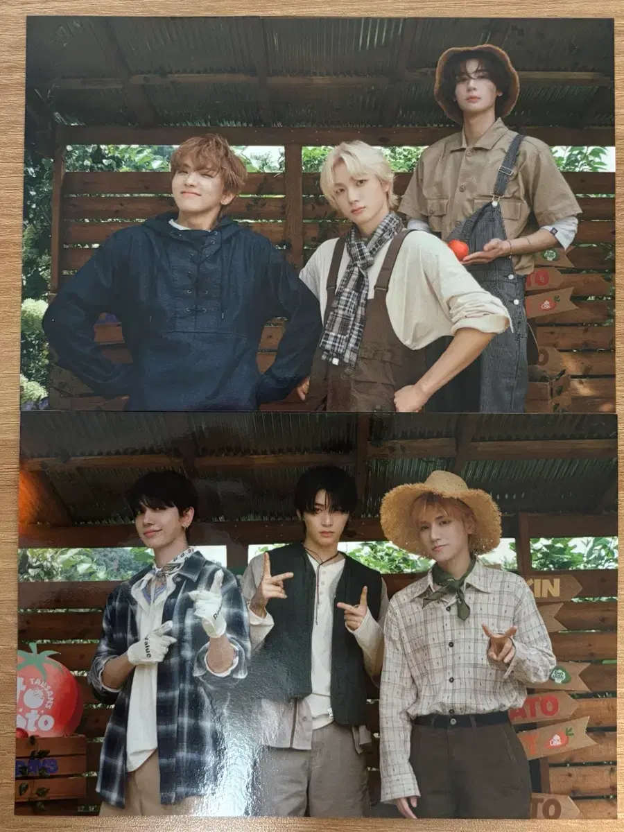 thumbnail-1